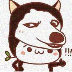 阿橙橙 头像